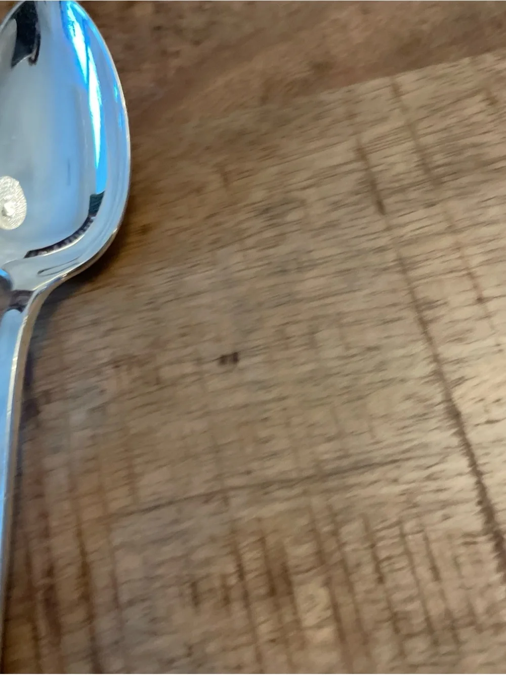 WM Rogers Terrace Table Spoons
